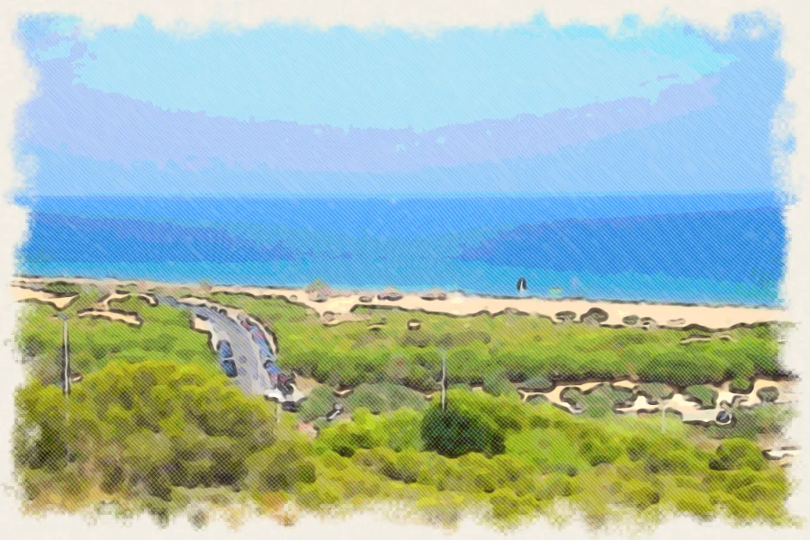 Dibujo a lápiz de colores de la playa del Carabassí y la pinada de Gran Alacant