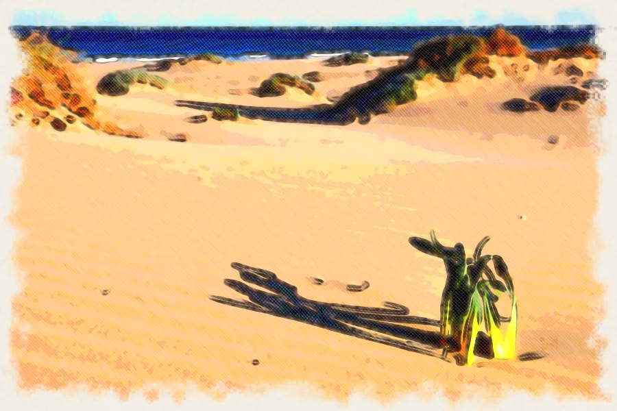 Dibujo a lápiz de colores de las dunas de la playa del Carabassí, Gran Alacant