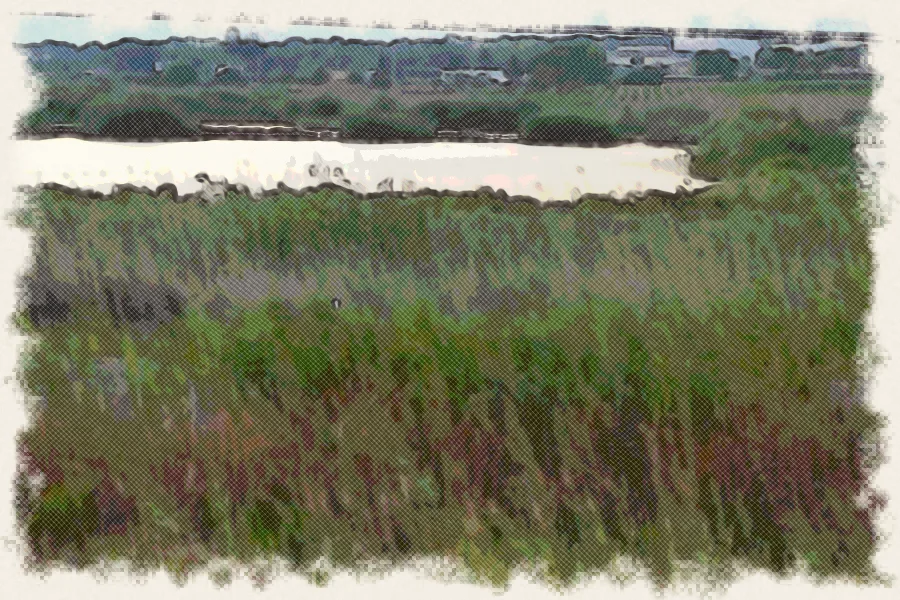 Dibujo a lápiz de colores de las salinas de Santa Pola