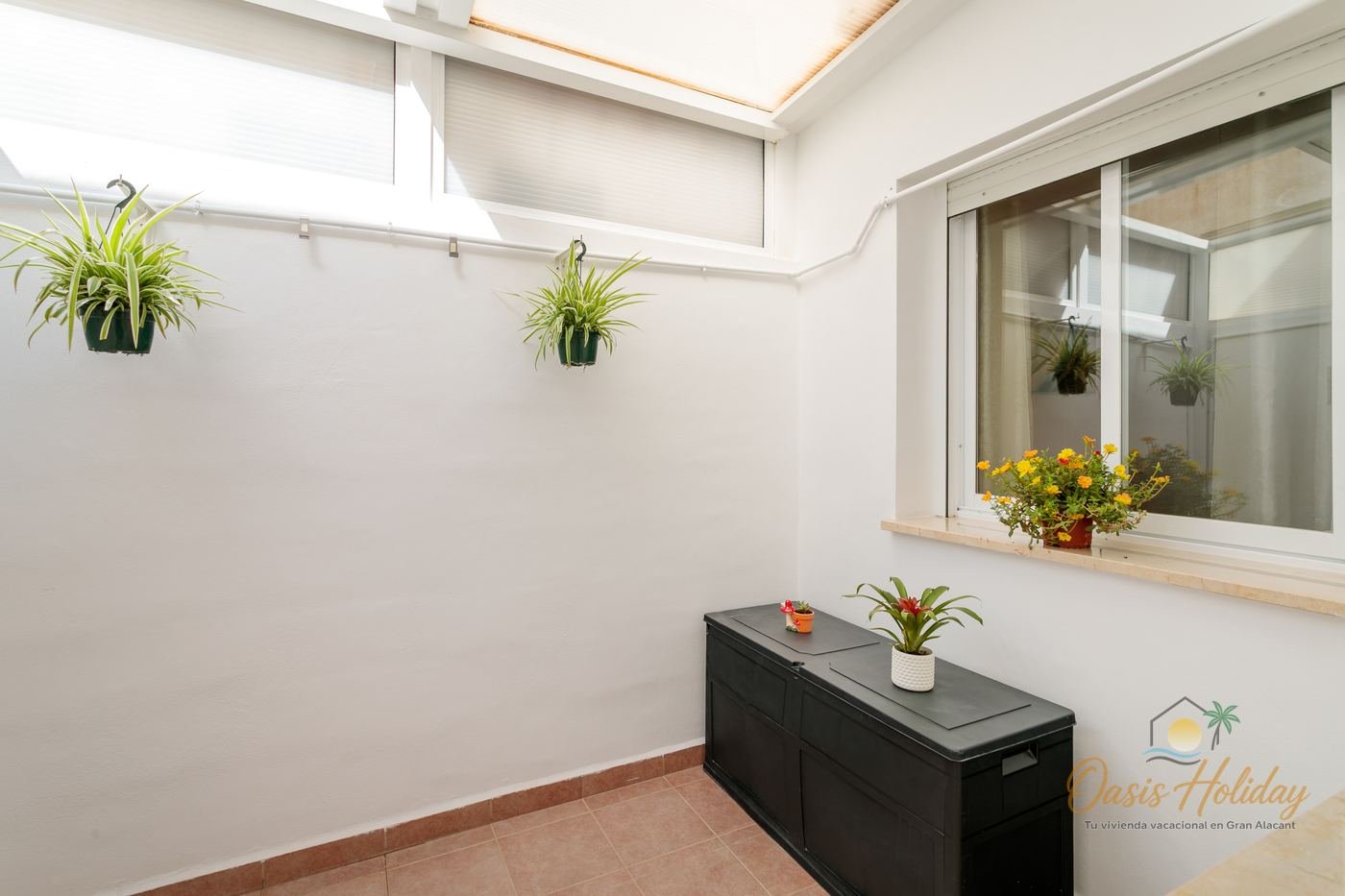 Patio interior con plantas